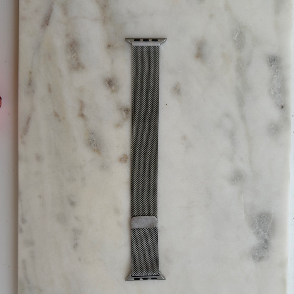 Apple Silver Mesh Smartwatch Band